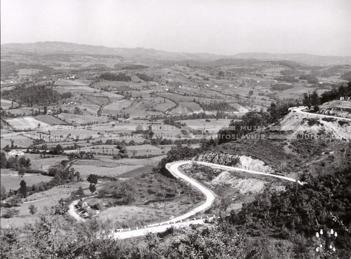 1951_011_113