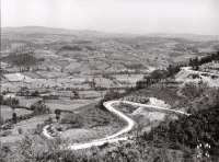 1951_011_113