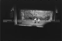 VIS_099_04
