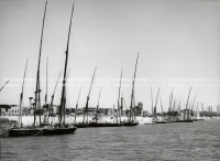 1961_164_146
