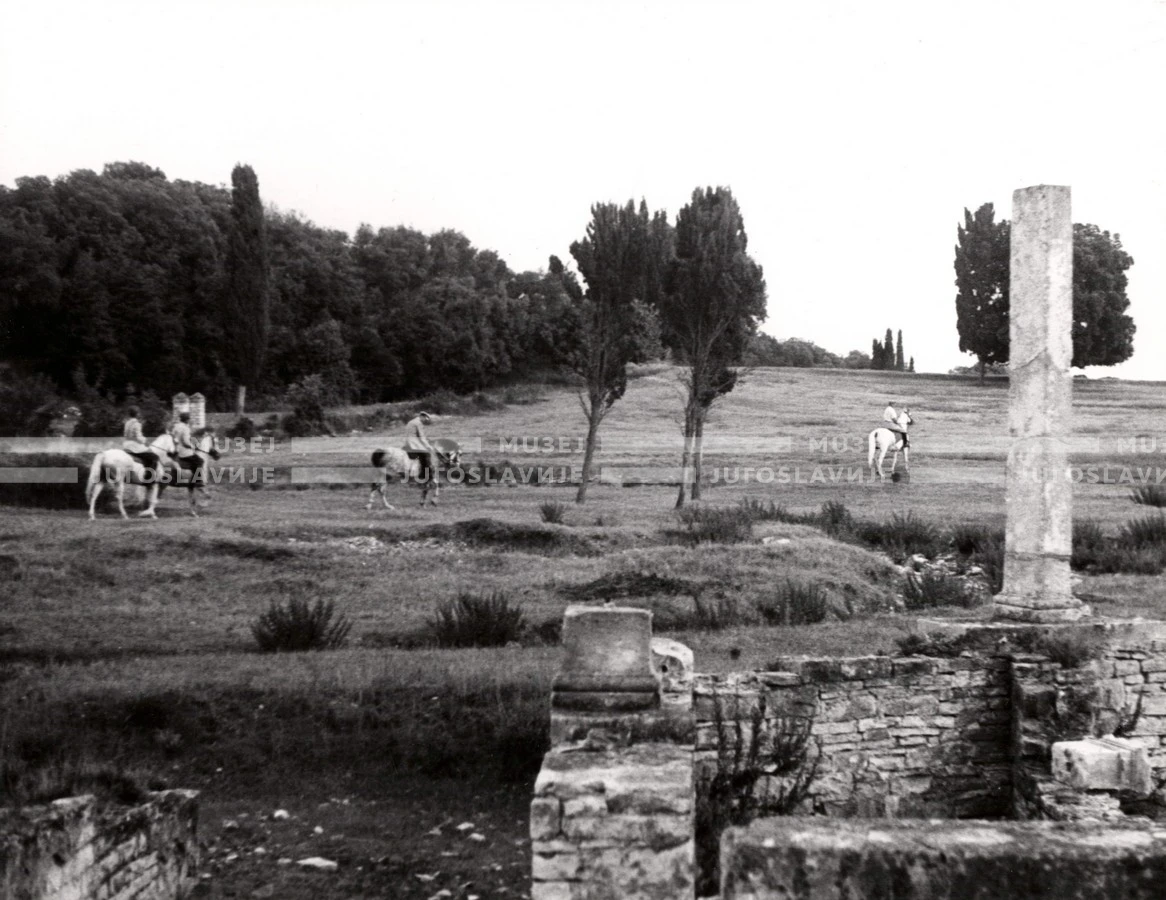1950_007_094