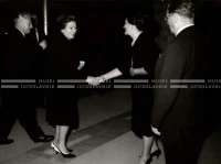 1964_252_111