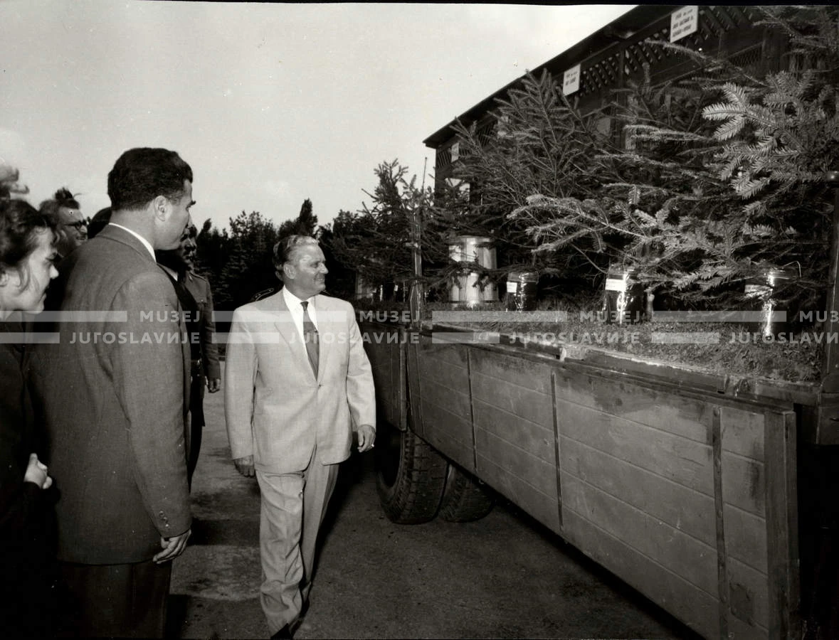 1954_028_076