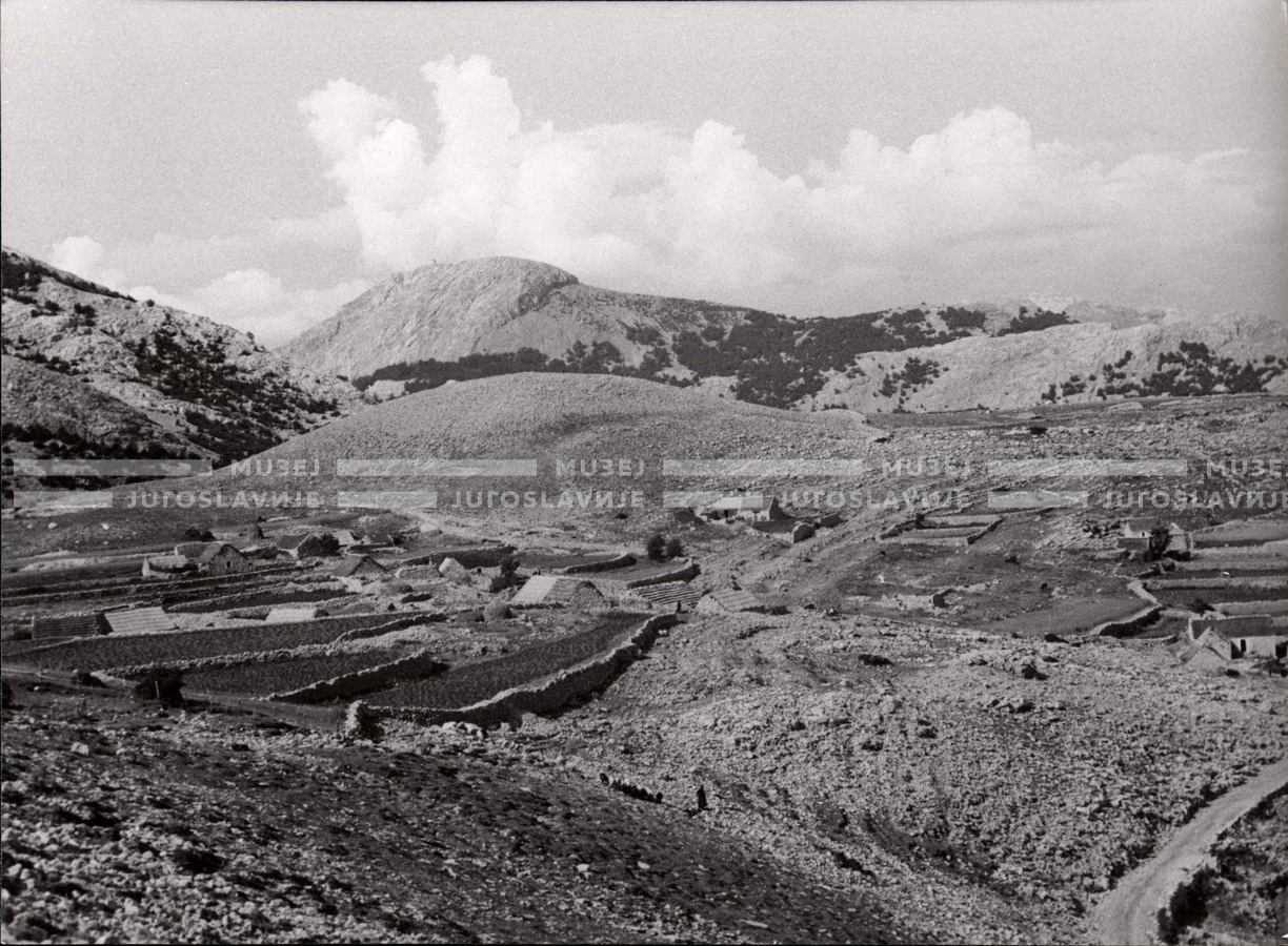 1951_010_015