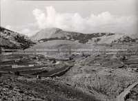 1951_010_015