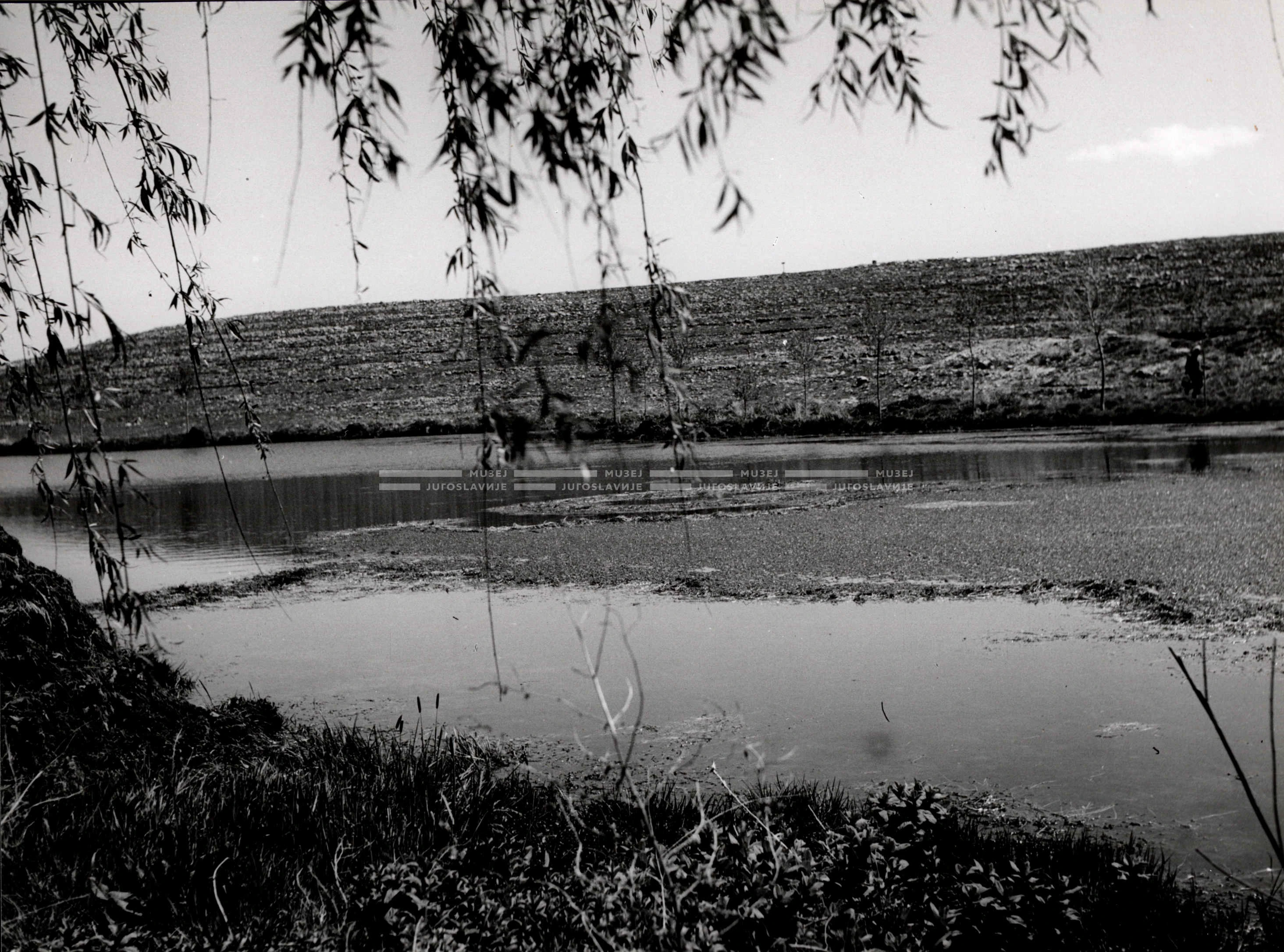 1961_161_031