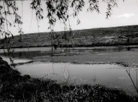 1961_161_031