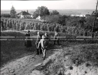 1953_024_072