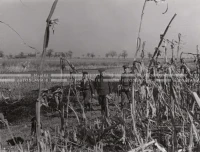 1948-49_002_108