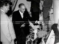 1961_163_174