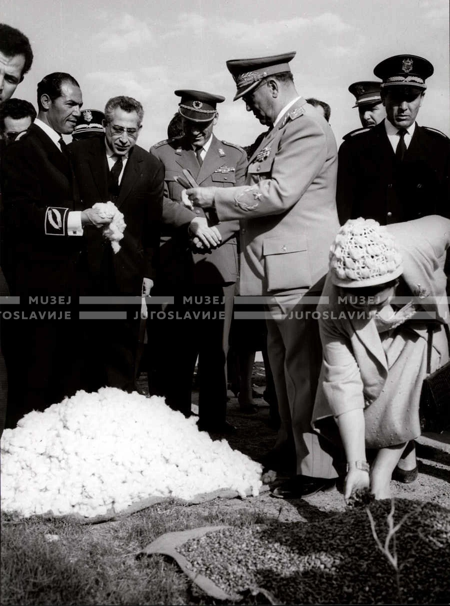1961_163_128