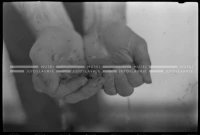MS_37_A_20