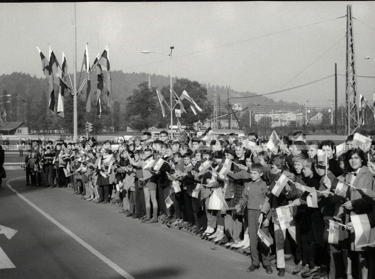 1964_252_196