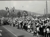 1964_252_196