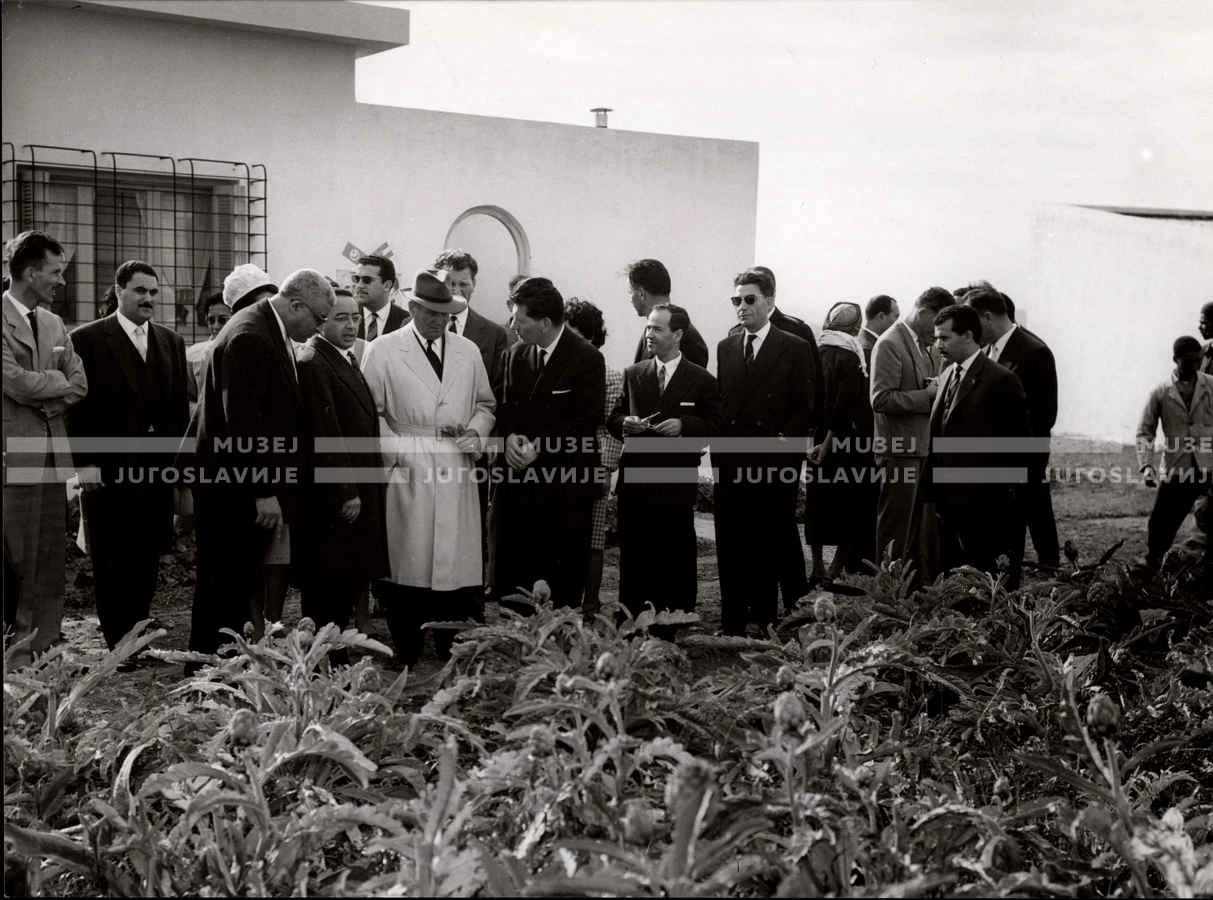 1961_163_055
