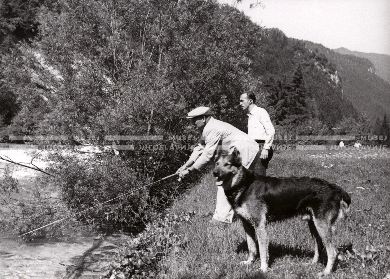 1951_010_118