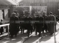 1950_005_115