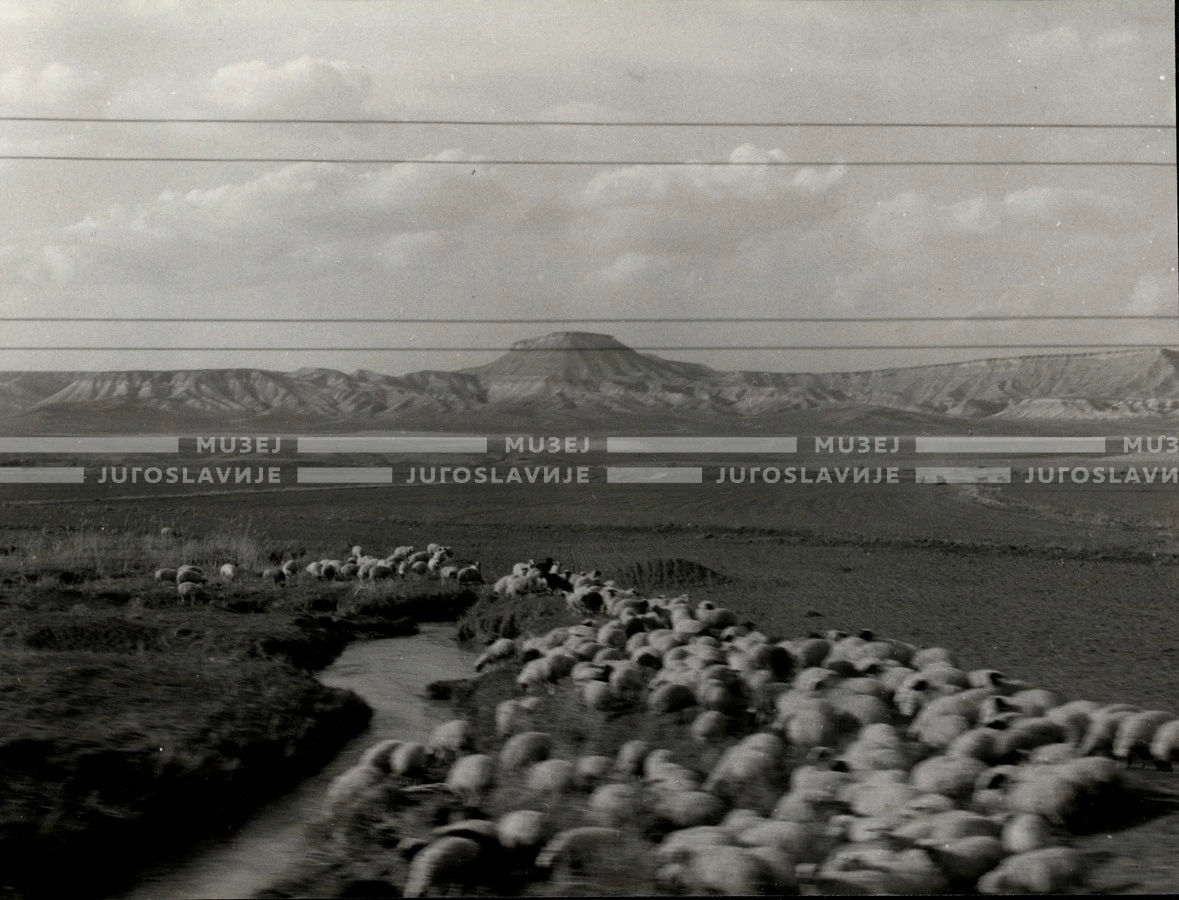 1954_027_017