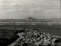 1954_027_017