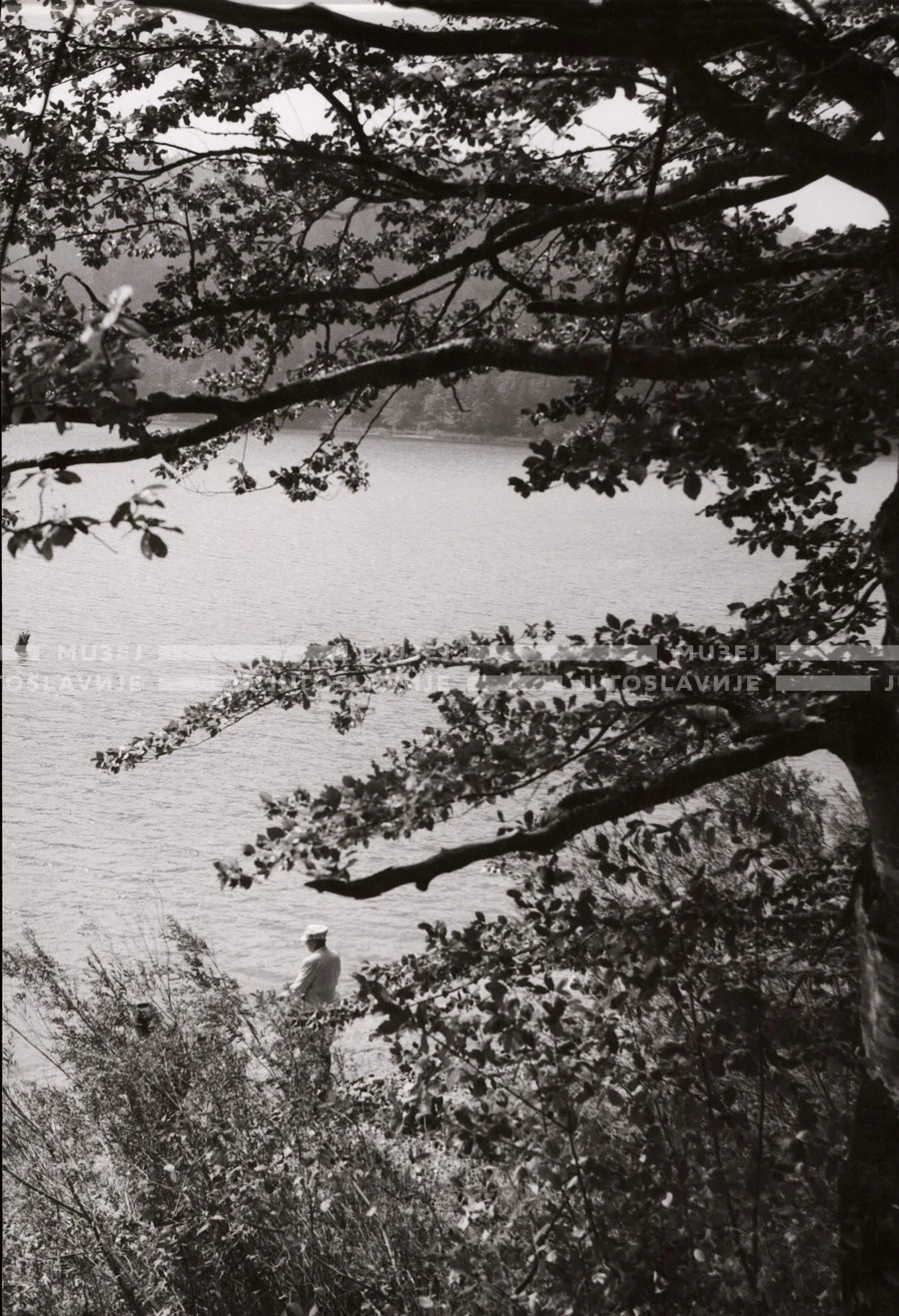1951_011_029