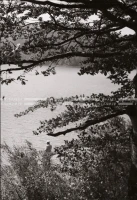 1951_011_029