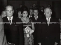 1964_252_177