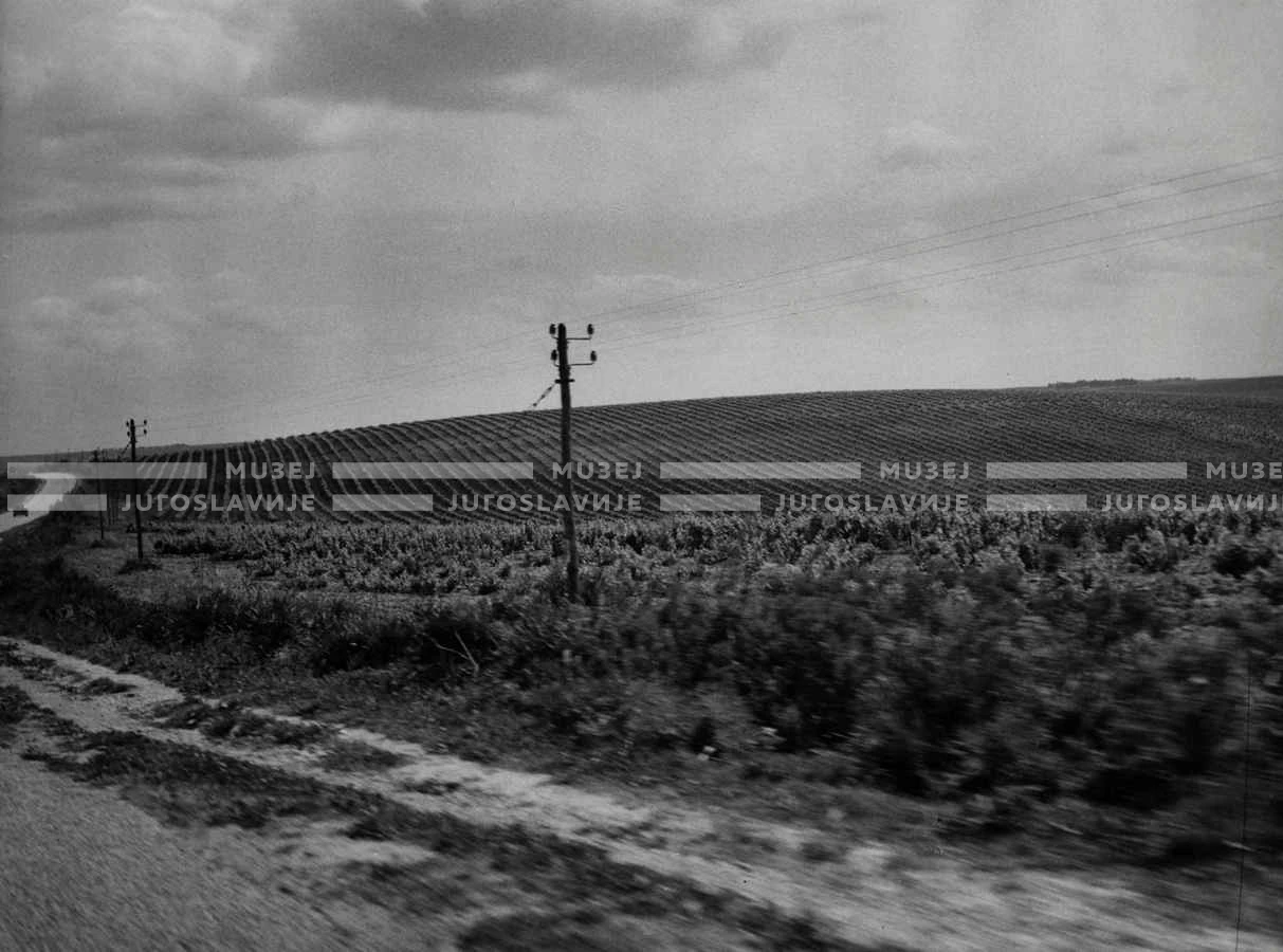 1961_160_094