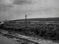 1961_160_094