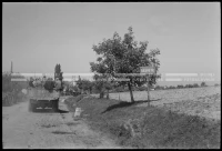 VIS_289_22