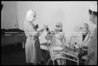 VIS_111_31