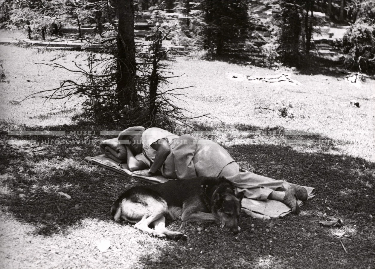 1951_010_123