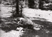 1951_010_123
