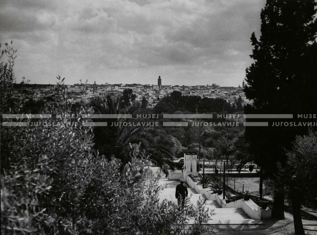 1961_160_135