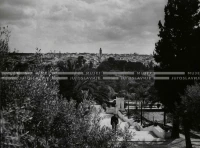 1961_160_135