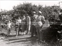 1950_006_133