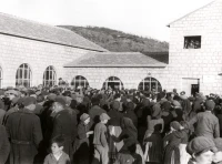 1950_005_065