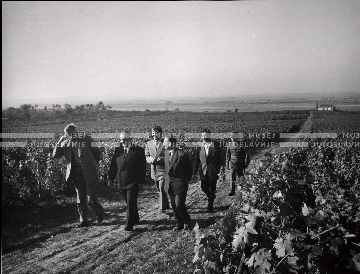 1953_024_076