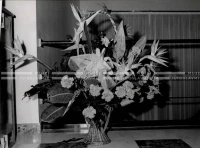 1961_163_066