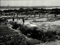 1961_159_045