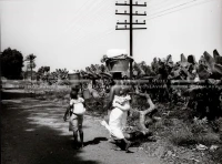 1961_158_041
