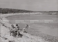 1950_007_101
