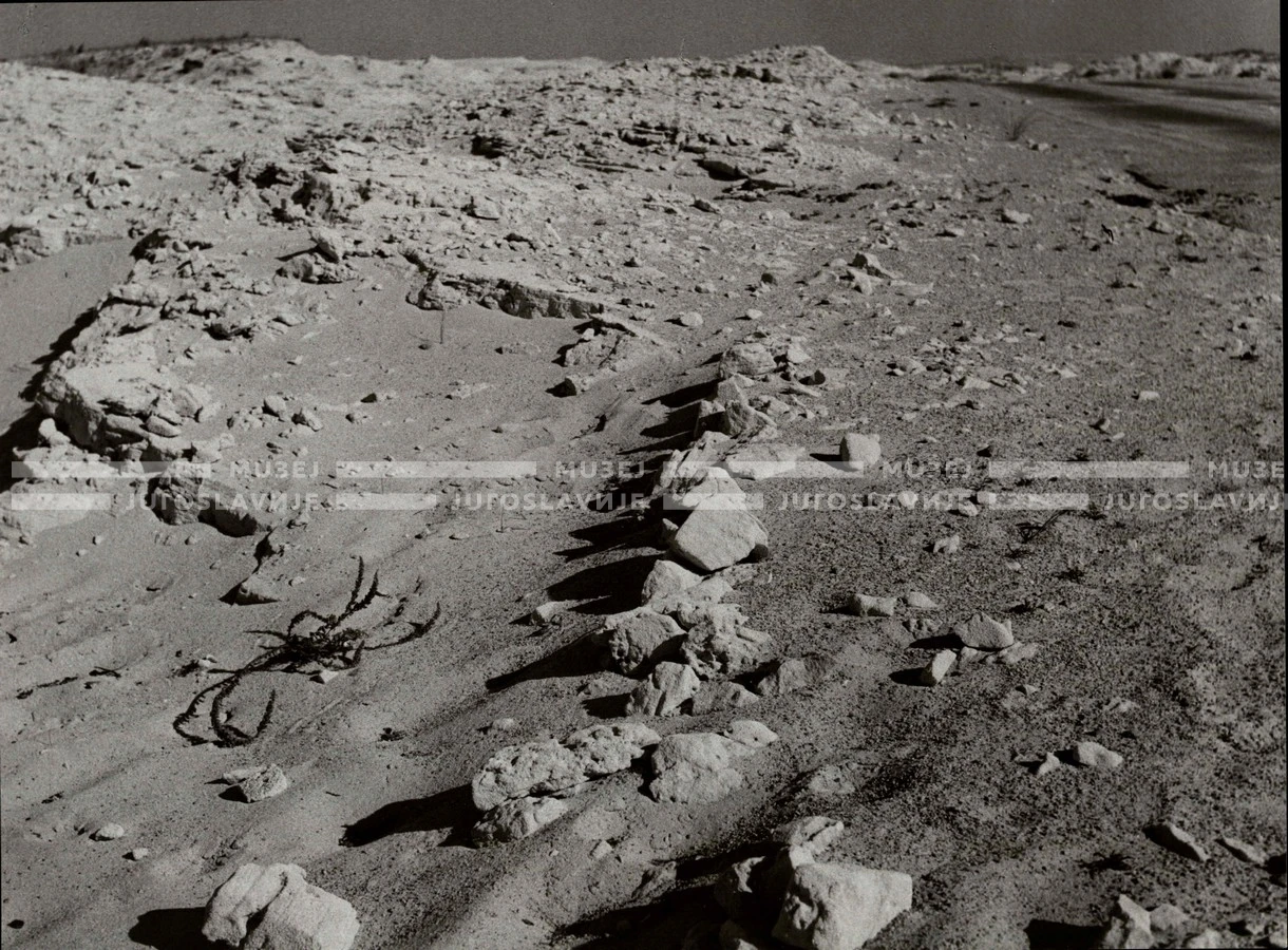 1961_164_087