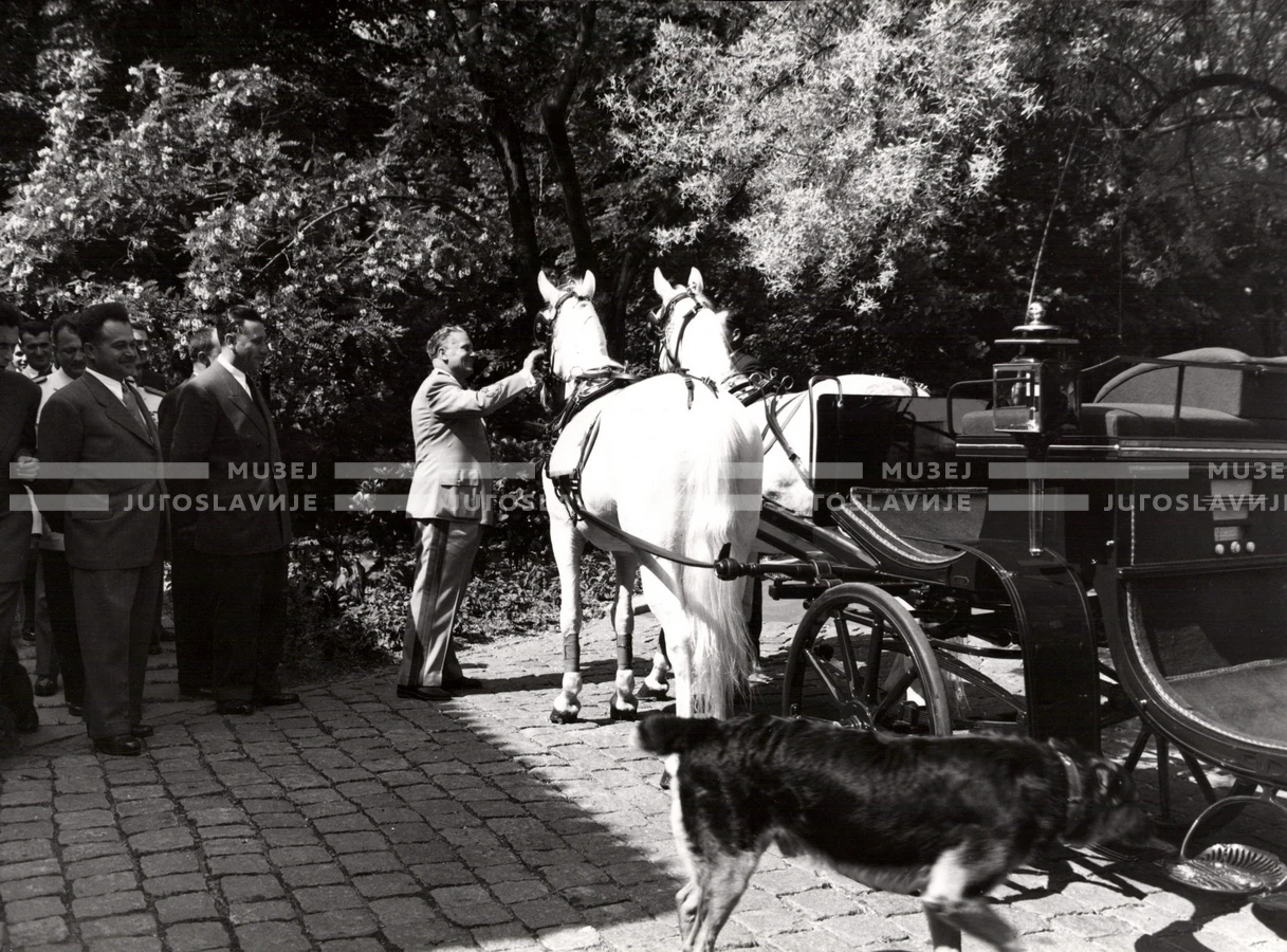1952_014_084