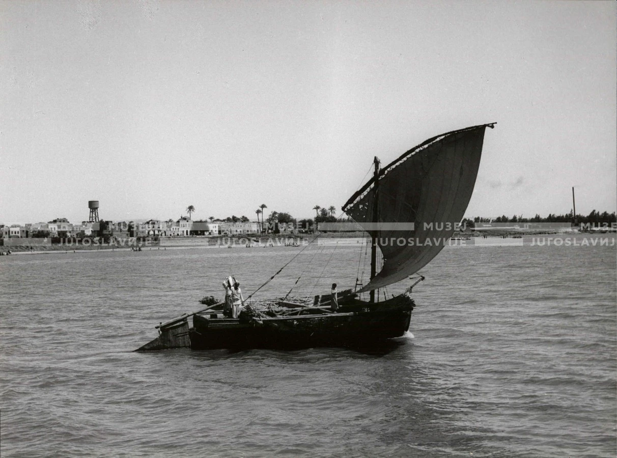 1961_164_145