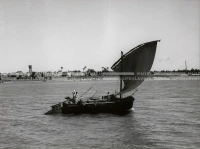 1961_164_145