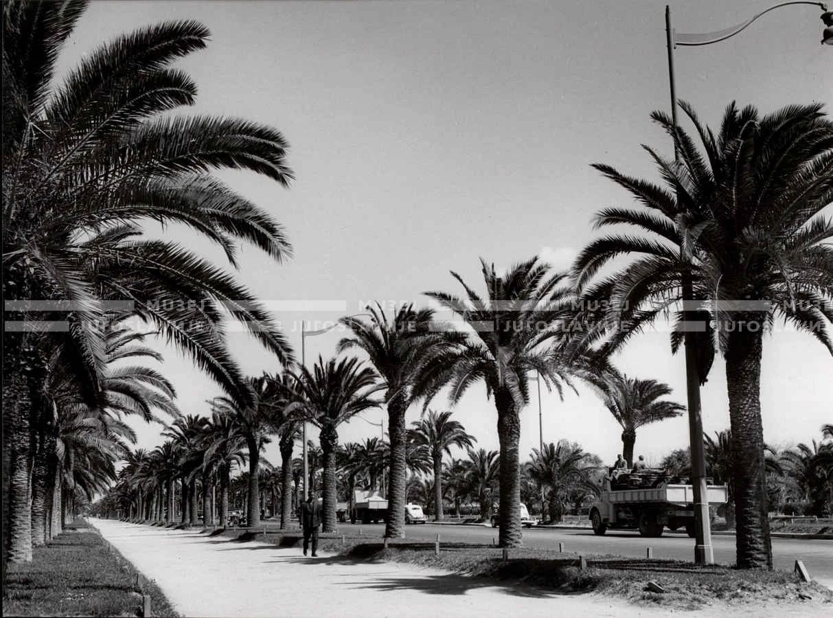 1961_163_113