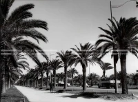1961_163_113