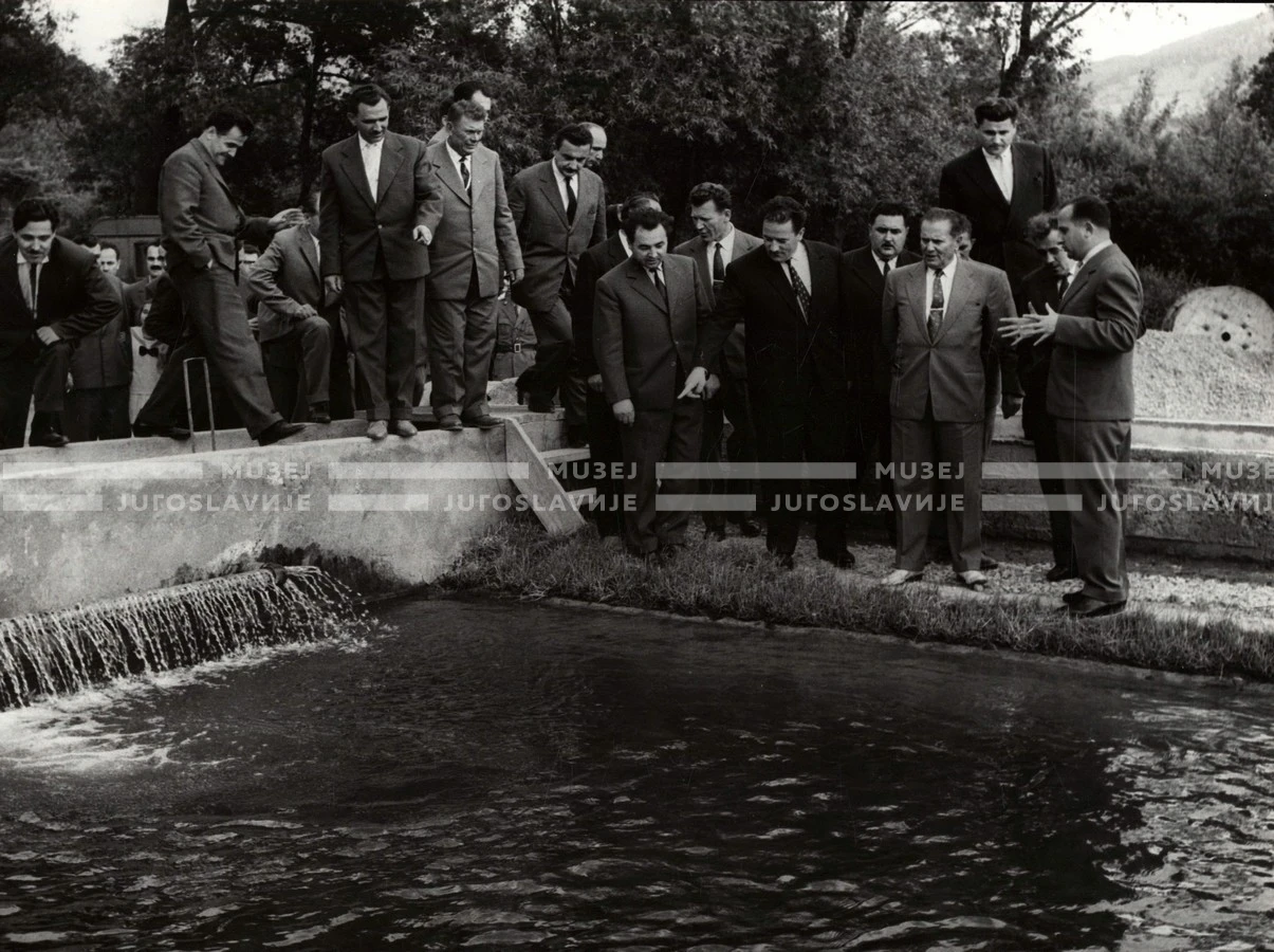 1961_169_131