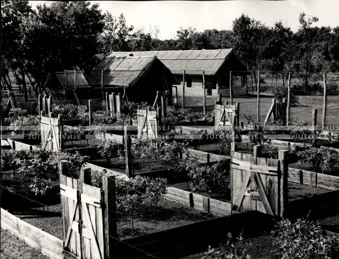 1953_023_102