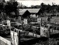 1953_023_102